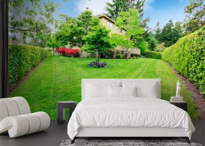 Beautiful backyard garden Wall mural