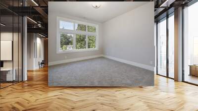 Home interior. Empty room with gray carpet flooring Wall mural