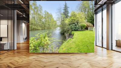 picturesque nature. river Wall mural