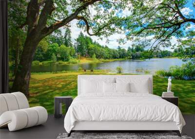 Summer landscape on the river bank with two chairs. McNiel island, Washington Wall mural