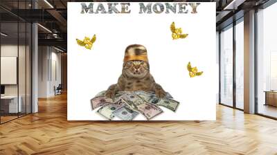 Cat makes a lot of dollars 2 Wall mural