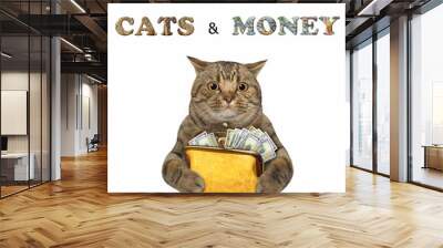 The beige big eyed cat is holding a yellow leather purse full of dollars. Girls like cats and money. White background. Isolated. Wall mural