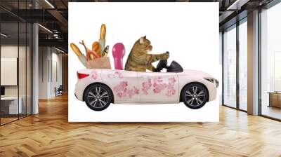 The cat drives a car painted with beautiful pink flowers with a grocery bag full of food. White background. Isolated. Wall mural