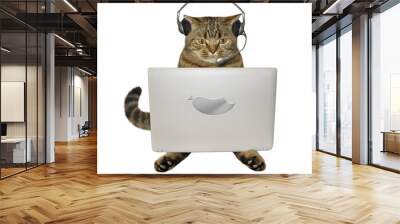 The cat in headphones is sitting in front of his laptop. White background. Wall mural