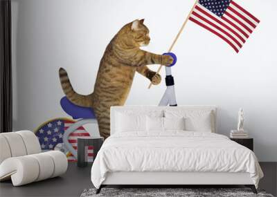 The cat patriot with the us flag is riding the bicycle. The wheels look like big donuts. White background. Isolated. Wall mural