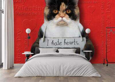 The multicolored cat with a sign around his neck that says I hate valentine's day. Red background. Wall mural