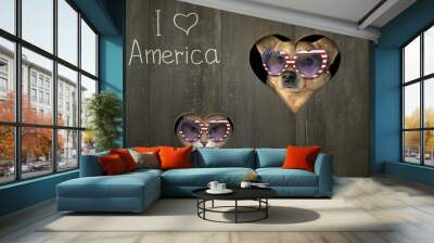 The patriotic cat and the dog in heart shaped sunglasses are looking through holes of a wooden fence. I love America. Wall mural