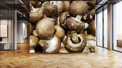  Brown champignons on market. Wall mural