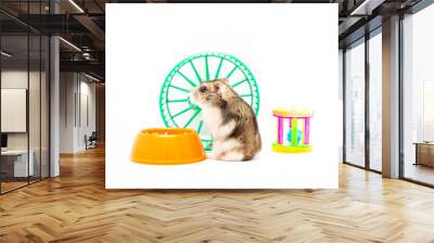 A cute little hamster, with a bowl, toy wheel, on white background Wall mural