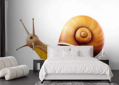 a snail with a shell Wall mural