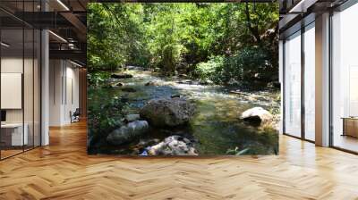 a stream with a large rocky stones in the middle of it   Wall mural