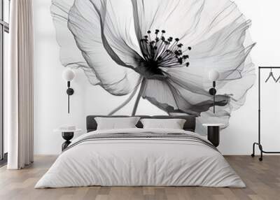 abstract poppies petals, black and white illustration. Wall mural