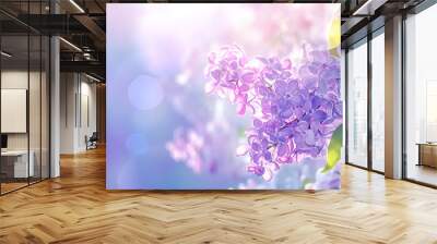 Beautiful Wide Angle soft spring background with lilac flowers. Panoramic pastel floral pink and purple template Web banner. greeting card with Copy Space. Illustration for Albums, notebooks. Wall mural