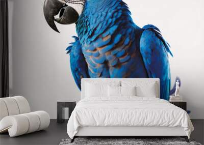 big blue parrot Wall mural