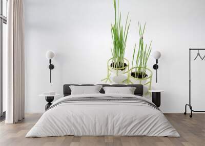 two eggshells in egg stands in the form of bird's feet with sprouted stems of green wheat sprouts stand one behind the other on a white background Wall mural