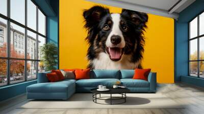 Border collie isolated on yellow background with copy space. Close up portrait of happy smiling sheepdog dog face head looking at camera. Banner for pet shop. Pet care and animals concept for ads card Wall mural