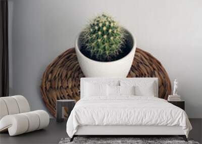 cactus in a white pot in the style of minimalism Wall mural