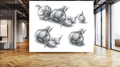 Garlic composition. Hand drawn engraving style illustrations. Wall mural