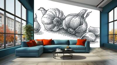 Garlic composition. Hand drawn engraving style illustrations. Wall mural