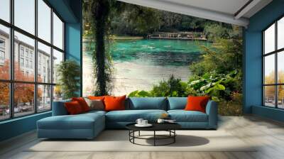 Rainbow Springs State Park,  Florida, USA :  People swim in beautiful blue water Wall mural