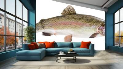 Rainbow trout on white background Wall mural