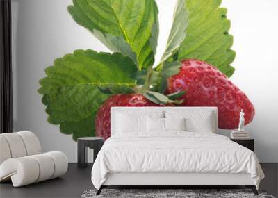 Two red strawberries  on a background of green leaf. Isolated on Wall mural