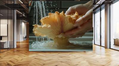 A person's hands gently clean a large chanterelle mushroom under running water in a kitchen sink, with a neutral background Wall mural