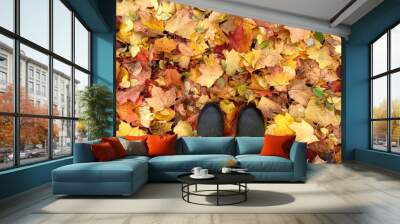 Bright natural autumn background in warm colors. Female legs in green boots on a carpet of red and yellow maple leaves, top view. The concept of autumn mood and walks Wall mural