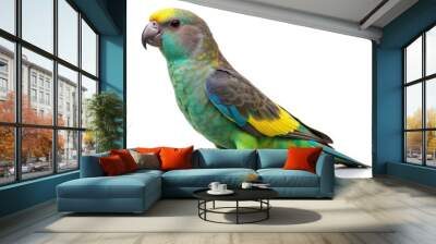 Meyer’s parrot standing on a scale against a white background. Generative AI Wall mural