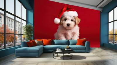 Adorable wallpaper or background of young funny looking dog dressed up as santa in christmas card photo shoot on red background. Space for text Wall mural