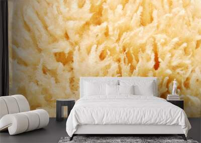 Natural sea sponge texture, macro image of a natural sea sponge as background Wall mural