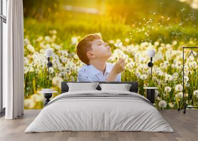 Adorable cute school boy blowing on a dandelion flower on the nature in the summer. Happy healthy beautiful child with blowball, having fun. Bright sunset light, active kid. Wall mural