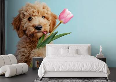 Cute little puppy dog with tulip flower in mouth on light blue background for Valentine's day or Mother's day or birthday card. Wall mural