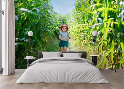 Happy little toddler girl playing on corn labyrinth field on organic farm, outdoors. Funny child hild having fun with running, farming and gardening of vegetable. Active family leisure in summer. Wall mural