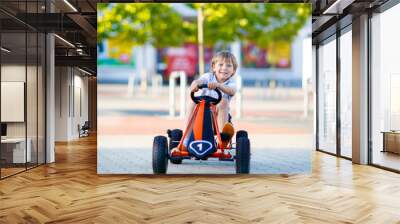 little kid boy driving pedal race car in summer Wall mural