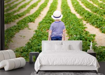 Little kid boy picking strawberries on farm, outdoors. Wall mural