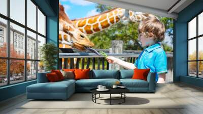 Little kid boy watching and feeding giraffe in zoo Wall mural