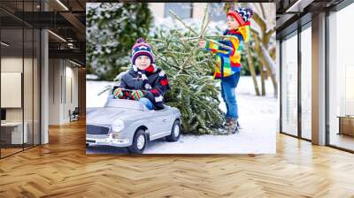 Two little kid boys driving toy car with Christmas tree Wall mural