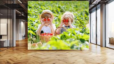 Two little sibling boys on strawberry farm in summer Wall mural