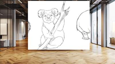 Set of wild animals. Hedgehog, koala, hippo, kangaroo, fenek. Black and white hand-drawn vector. For illustrations, coloring books and your design. Wall mural