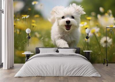 A cheerful cute white dog plays in a dandelion field in spring. Active spring and summer holidays Wall mural