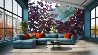 Banknote two hundred Russian rubles. Cash paper green money on the branches of the red tree. Wall mural