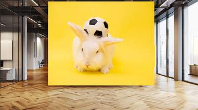 Yellow banner with copy space White rabbit and soccer ball. Football game. Hobbies for children. Sports development. Place for text. football goal Wall mural