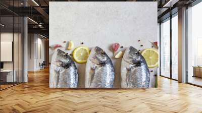 Two fresh raw sea organic dorado or sea bream with spices and lemon on a grey background Wall mural