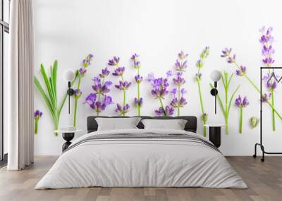 Bunch of Lavender flowers on a white background Wall mural