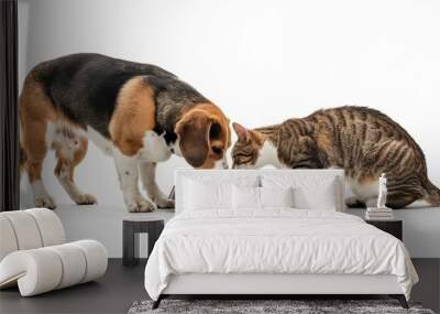 Dog and cat eating together from a single bowl, isolated on white background. The friendly beagle and tabby cat enjoy their meal together. Perfect for pet-related content and advertising. AI Wall mural