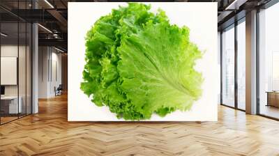 Freshness green leaf lettuce on white background Wall mural