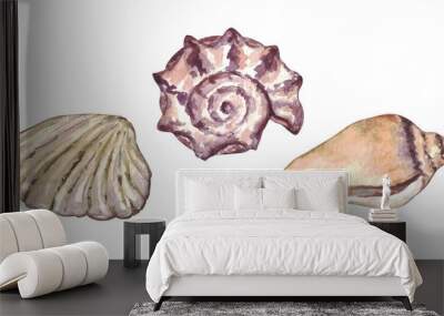 Watercolor set of isolated objects sea shells. Wall mural