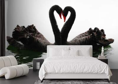 black swans heart. isolated over white. valentine series. Wall mural