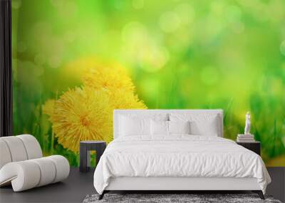 Yellow dandelion flowers in spring grass closeup. Wall mural